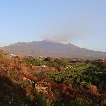 Il Pampaleone Glamping And Resort Acireale Εξωτερικό φωτογραφία